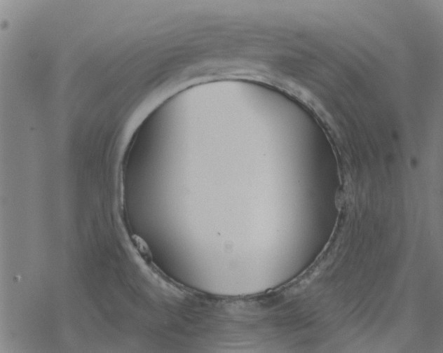 X0000077401520200611101807