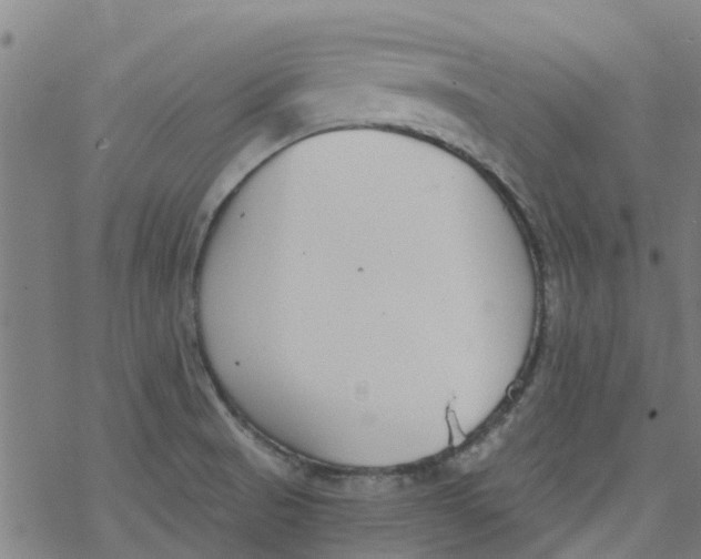 X0000077401521200611101807