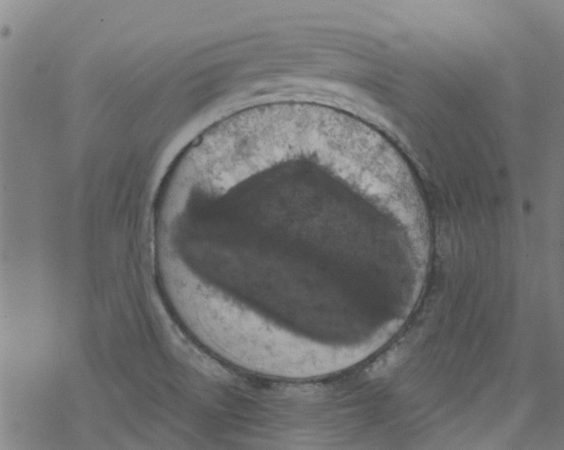 X0000077401522200611101807