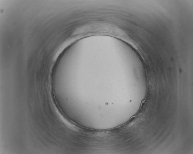 X0000077401523200611101807