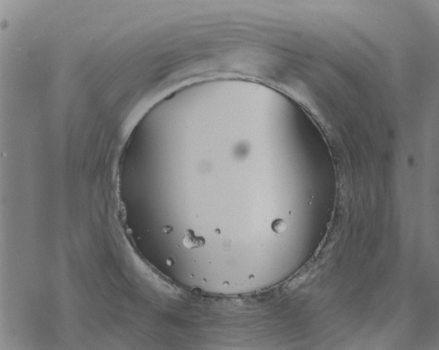 X0000077401524200611101807