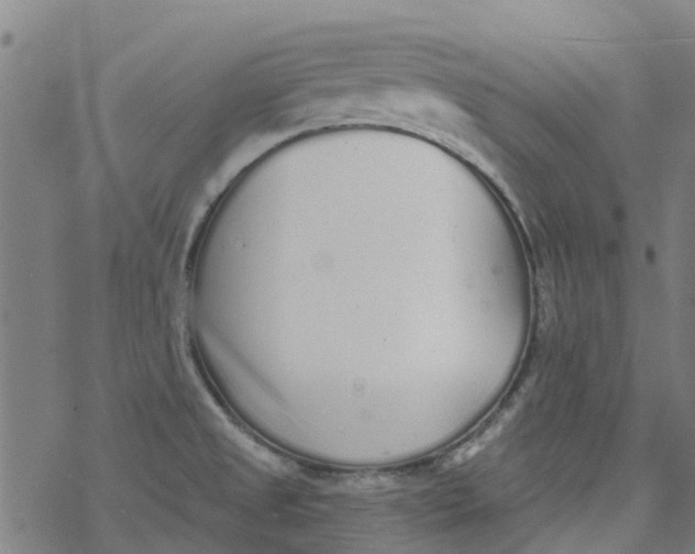 X0000077401525200611101807