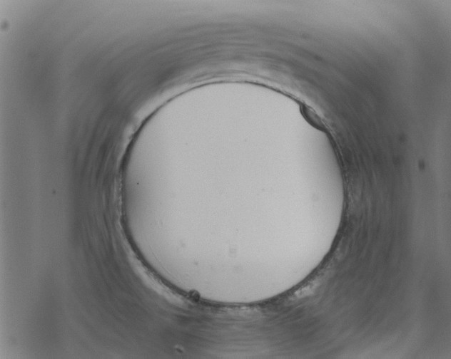 X0000077401526200611101807