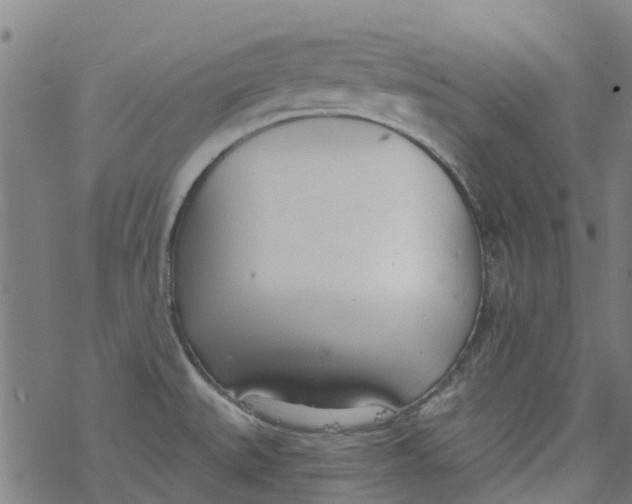 X0000077401527200611101807