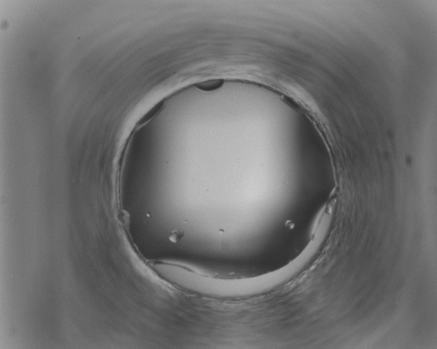 X0000077401528200611101807