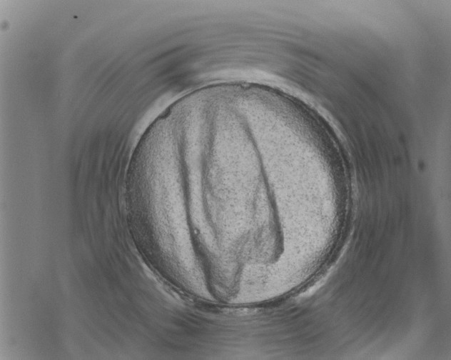 X0000077401529200611101807