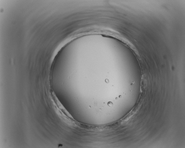 X0000077401530200611101807