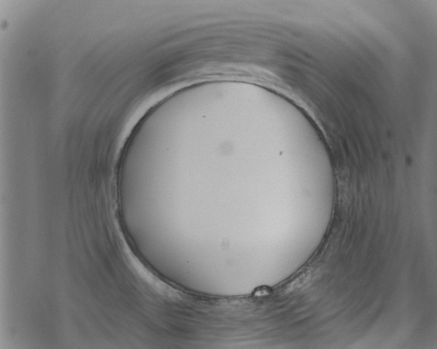 X0000077401531200611101807