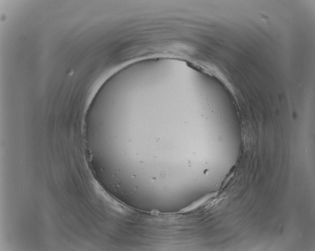 X0000077401532200611101807