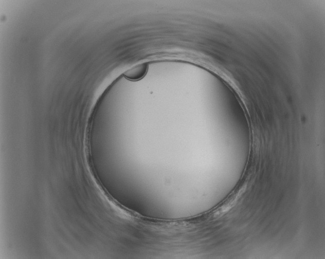 X0000077401533200611101807