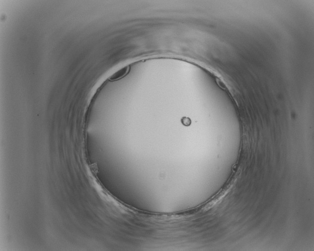 X0000077401534200611101807