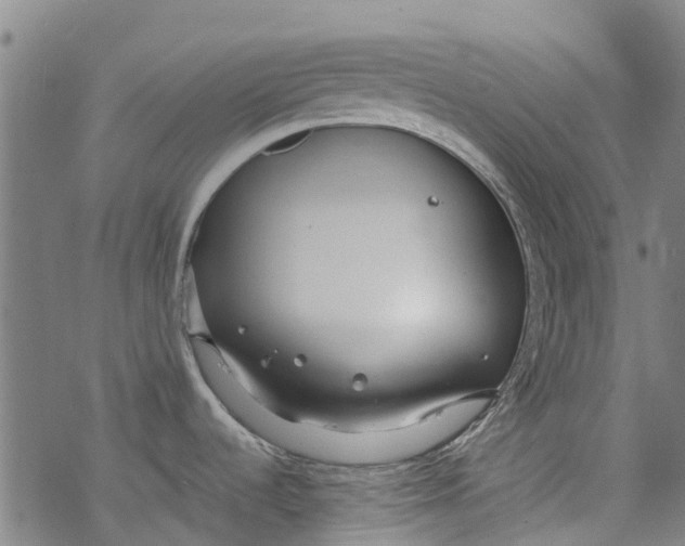 X0000077401536200611101807