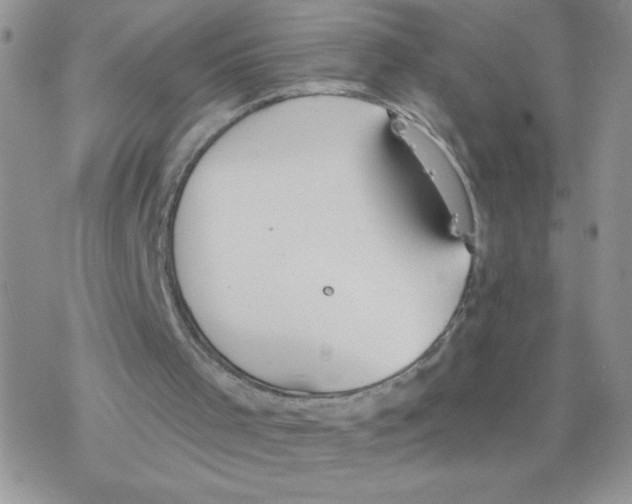 X0000077400001200611172116