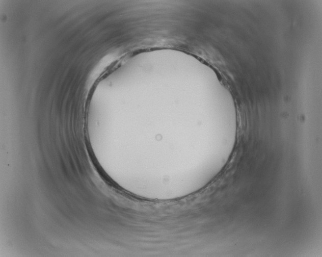 X0000077400003200611172116