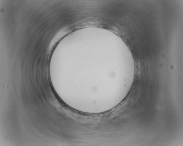 X0000077400004200611172116