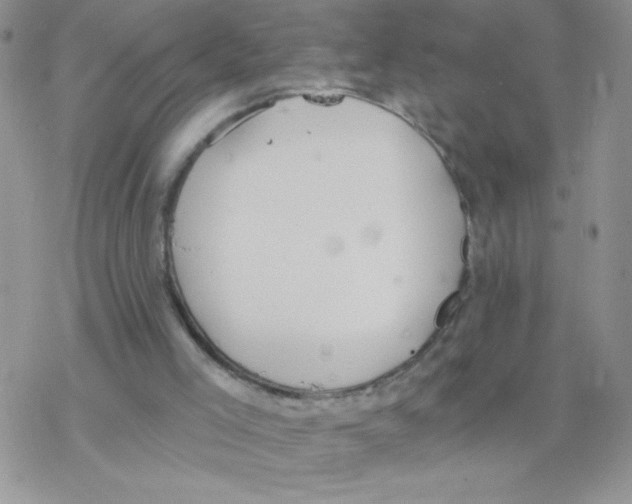 X0000077400005200611172116