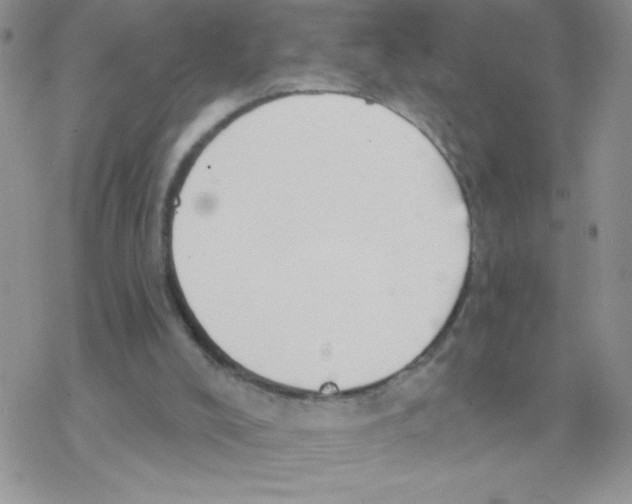 X0000077400008200611172115