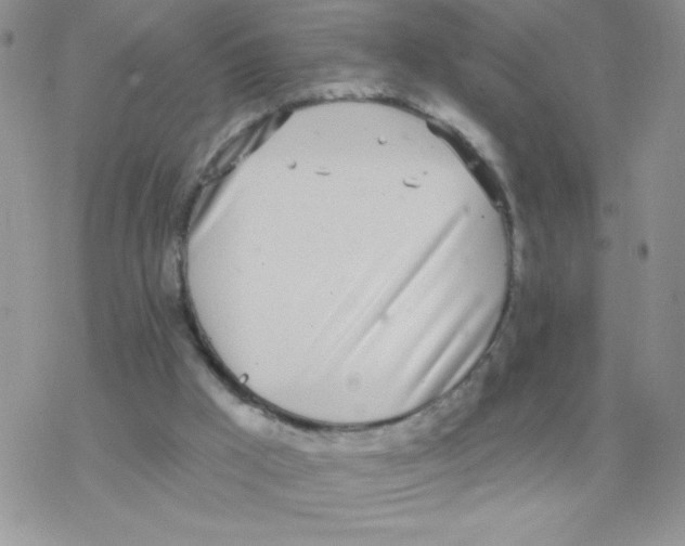 X0000077400009200611172115