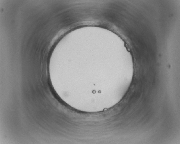 X0000077400011200611172115