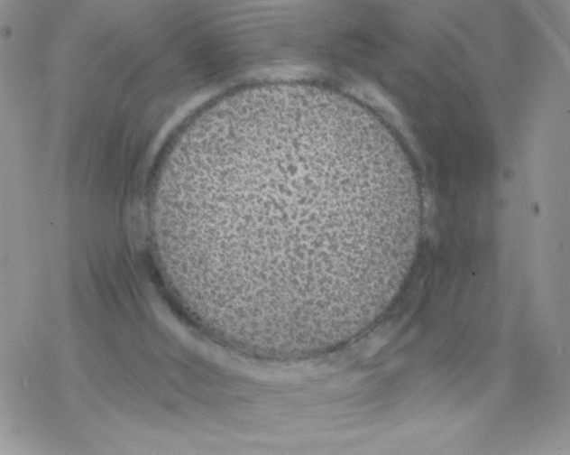 X0000077400012200611172115