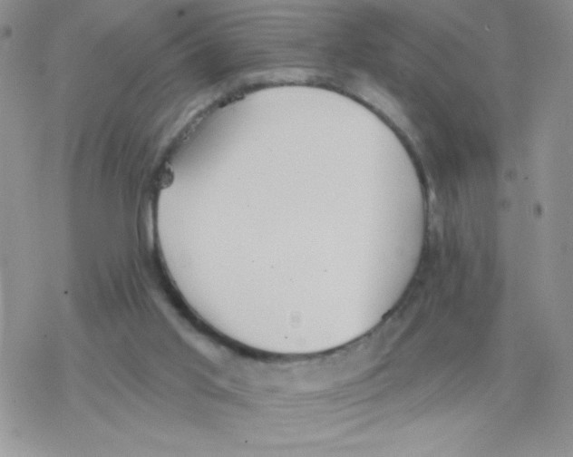 X0000077400013200611172115