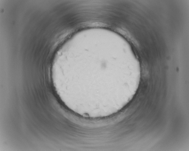 X0000077400014200611172115