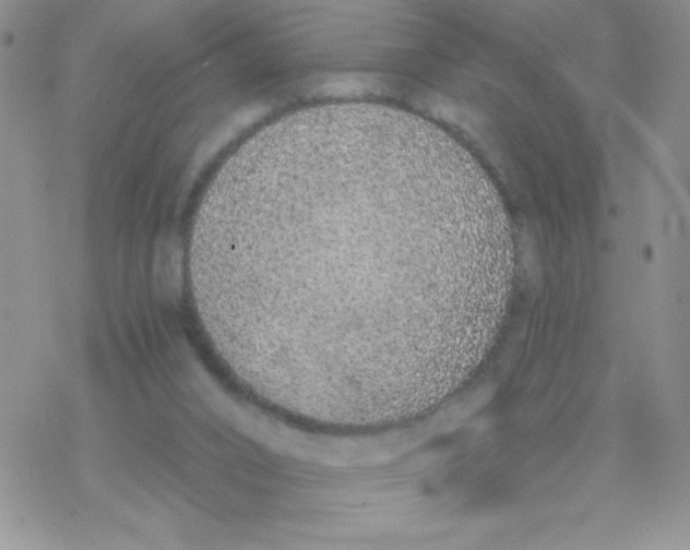 X0000077400016200611172115