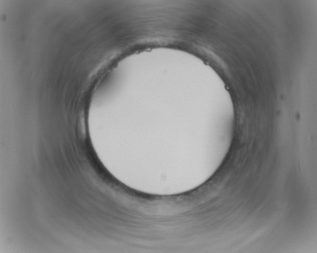 X0000077400020200611172115