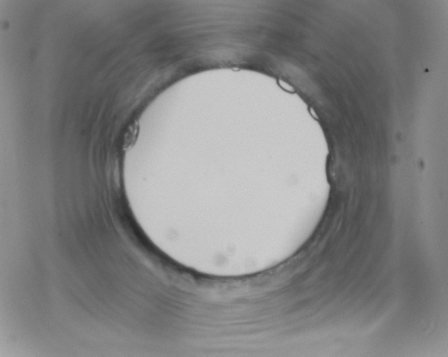 X0000077400021200611172115