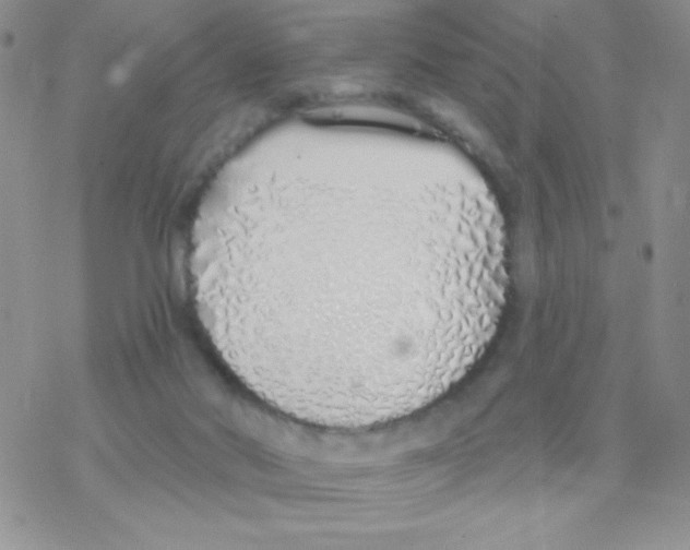 X0000077400022200611172115