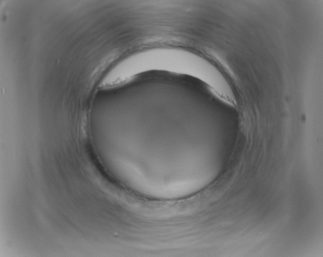 X0000077400023200611172115