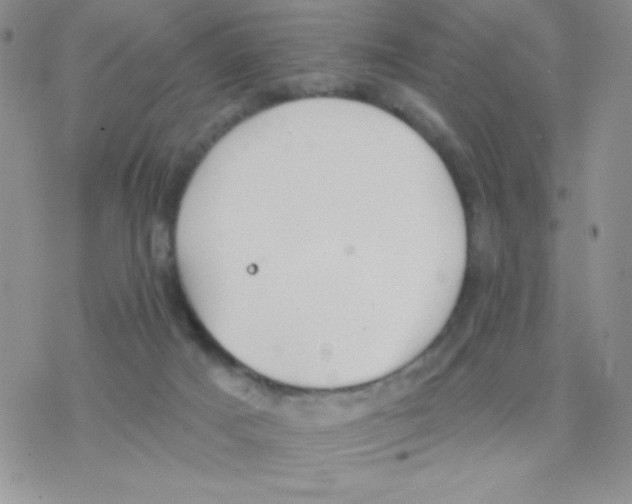 X0000077400025200611172115