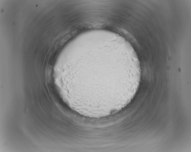 X0000077400026200611172115