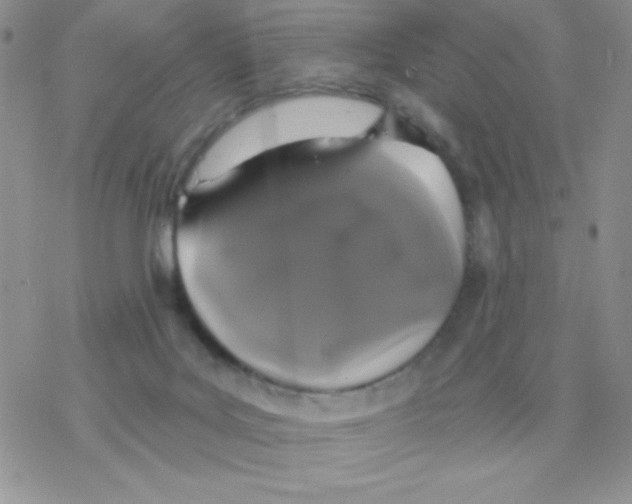 X0000077400027200611172115