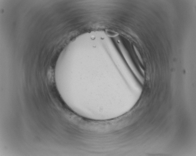 X0000077400029200611172115