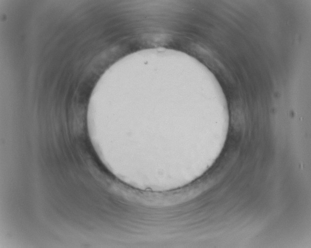 X0000077400030200611172115