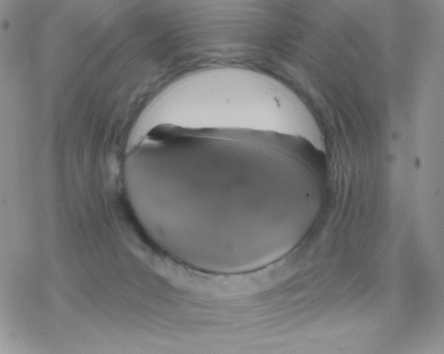 X0000077400031200611172115