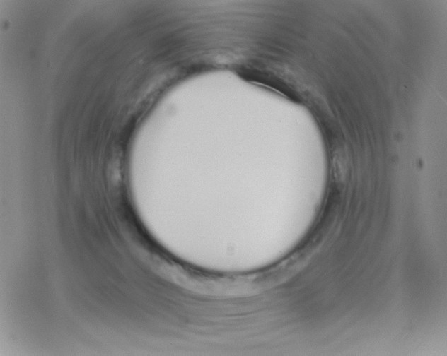 X0000077400032200611172115