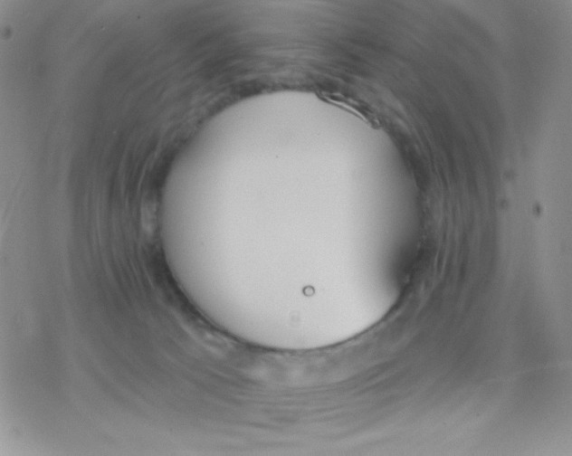 X0000077400033200611172115