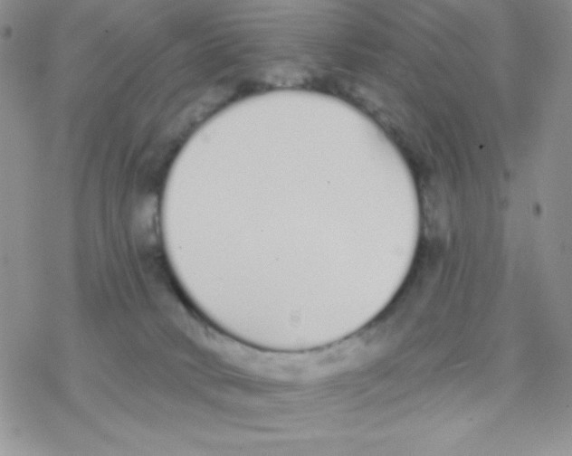 X0000077400034200611172115