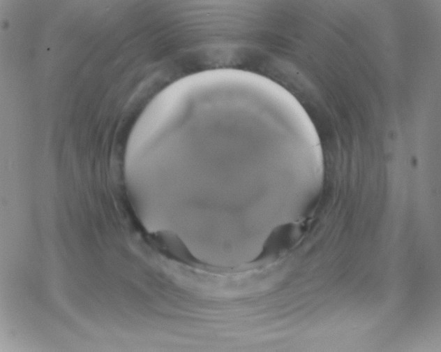 X0000077400035200611172115