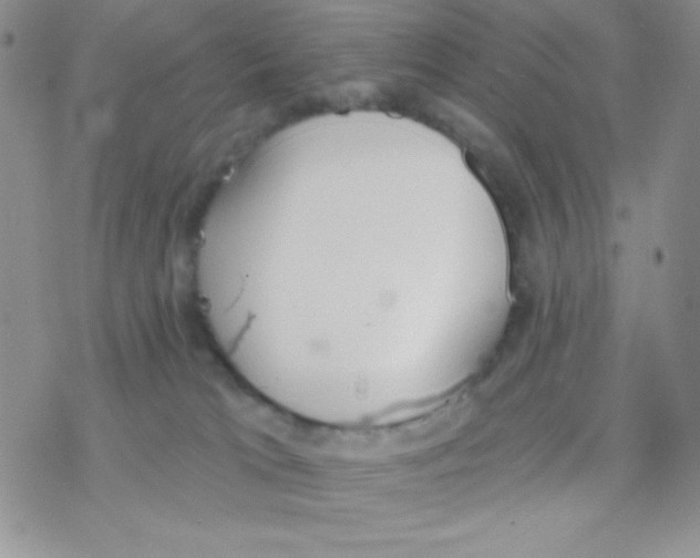 X0000077400037200611172115