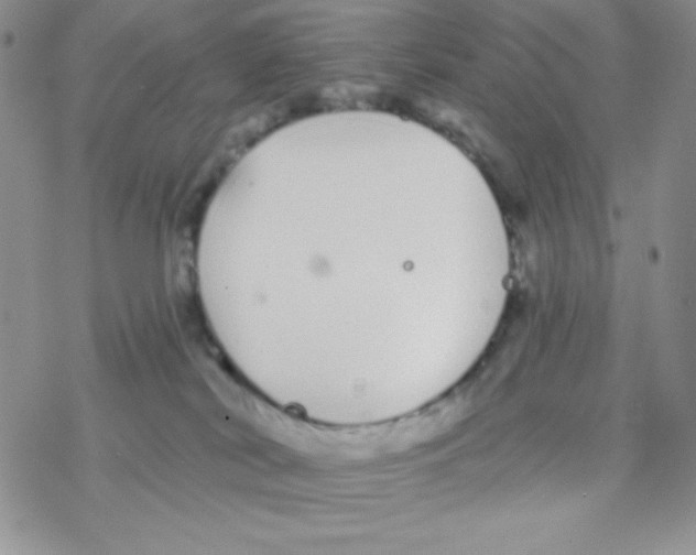 X0000077400038200611172115