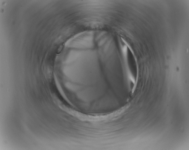 X0000077400039200611172115