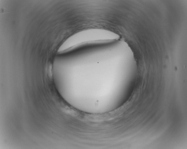 X0000077400041200611172115