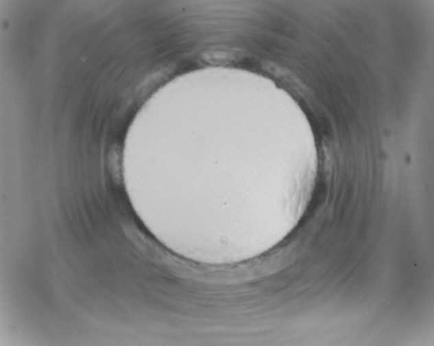 X0000077400042200611172115