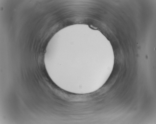 X0000077400044200611172115