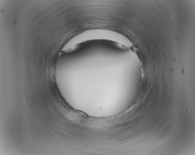 X0000077400045200611172115