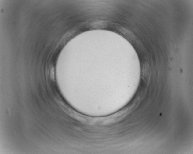 X0000077400046200611172115