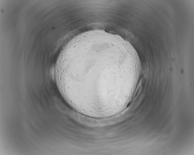 X0000077400047200611172115